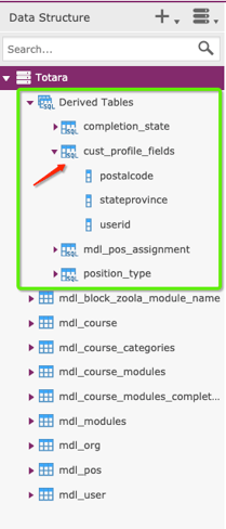 Zoola November Newsletter - 13. DSD_ Derived Tables Panel